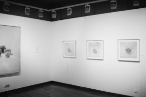 Equidistancia, Sala Parés 2017
